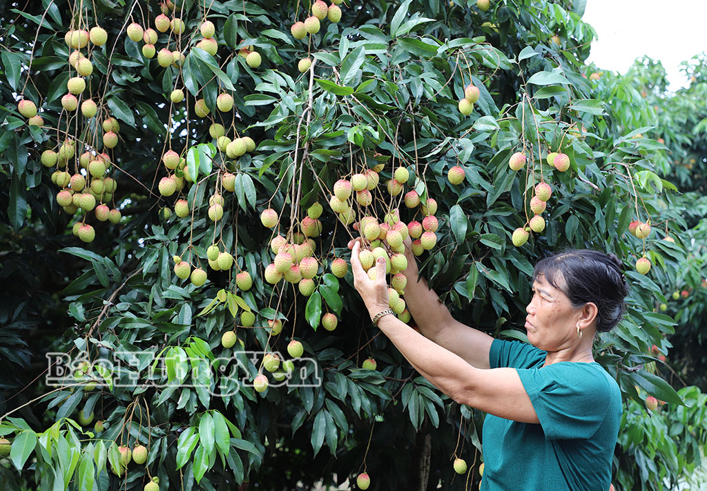 Xã Nguyễn Trãi: Sắp xếp thôn hướng tới mục tiêu nâng cao chất lượng quản trị ở cơ sở