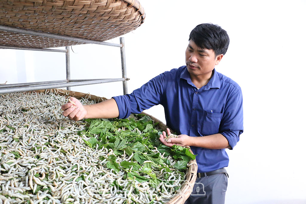 Xã Vũ Tiên: Hiện thực hóa mục tiêu tăng trưởng kinh tế 