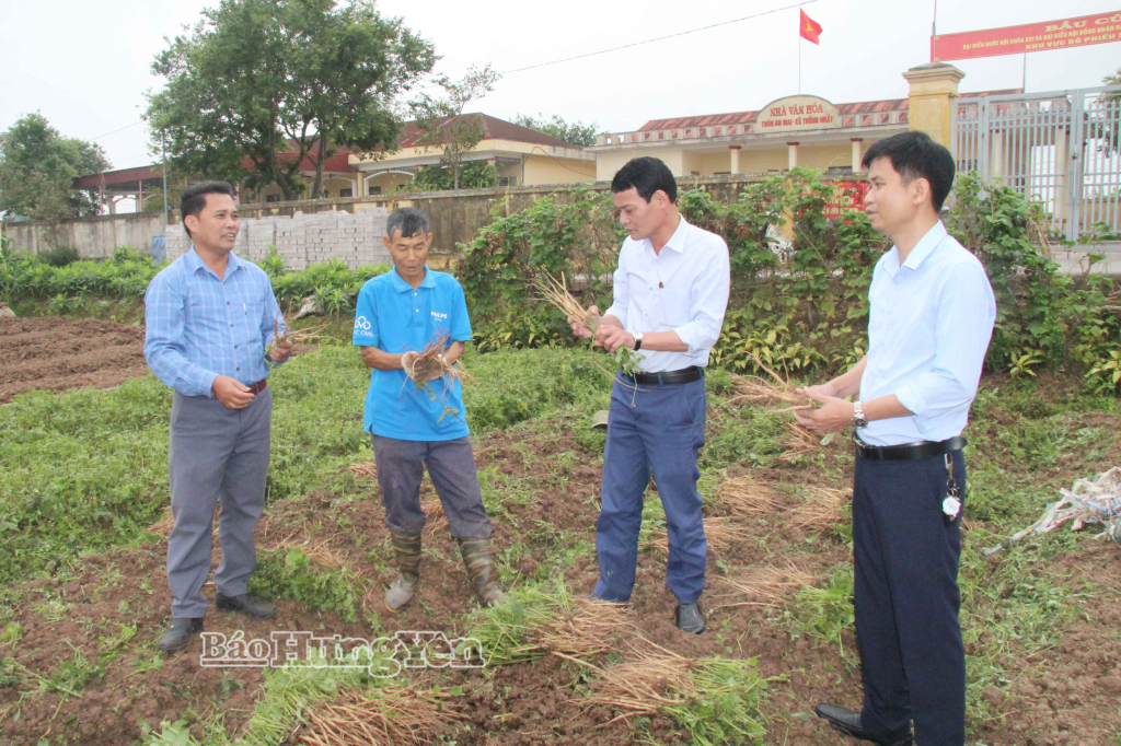 Từ “cây giảm nghèo” đến hành trình nâng tầm thương hiệu OCOP