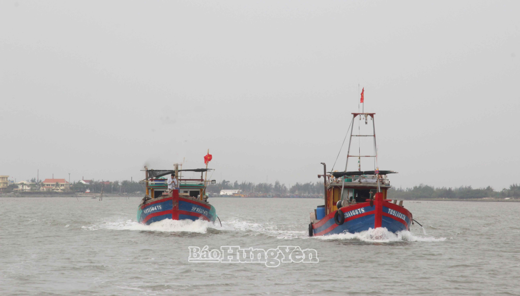 Ngư dân đồng lòng chống vi phạm IUU