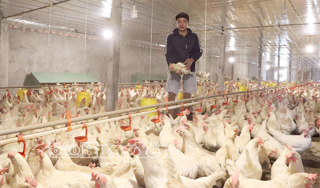 Xã Bình Thanh: Nỗ lực hoàn thành mục tiêu tổng giá trị sản xuất