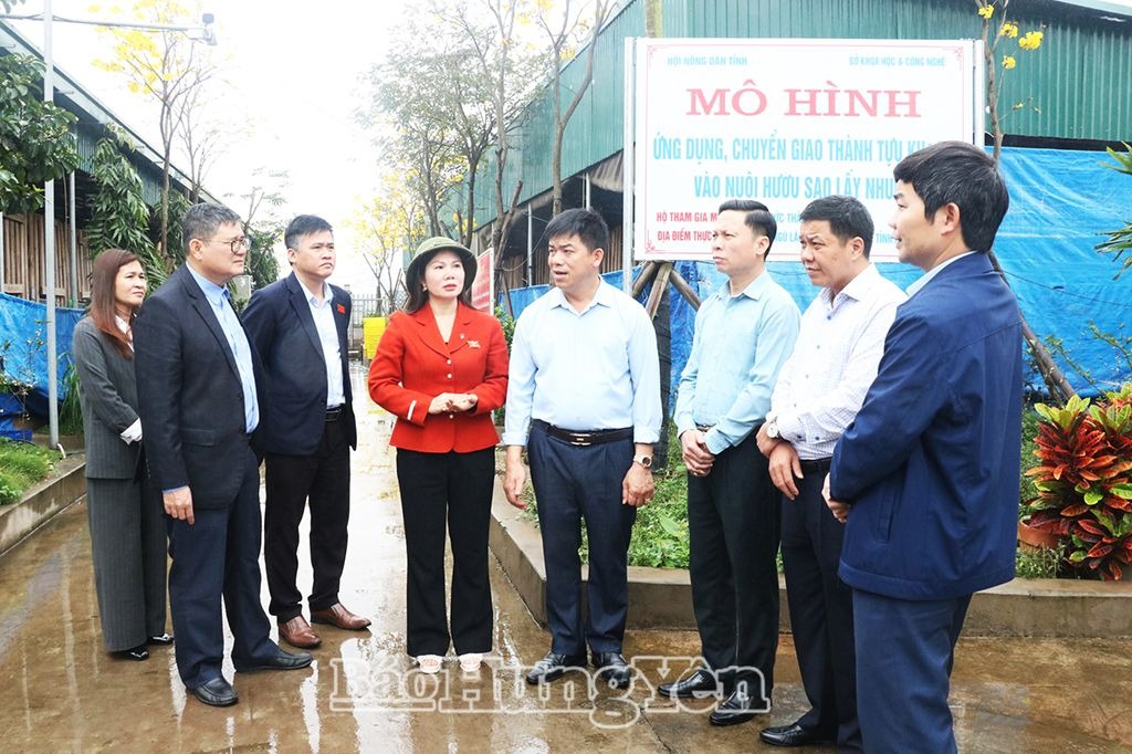 Đoàn giám sát của HĐND tỉnh giám sát chuyên đề tại các huyện Kim Động, Phù Cừ và thành phố Hưng Yên
