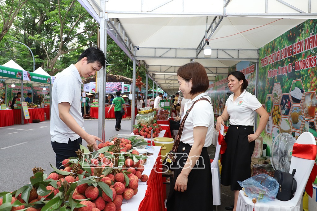 Gần 20 nghìn lượt khách tham quan, mua sắm tại Phiên chợ vải Hưng Yên năm 2025
