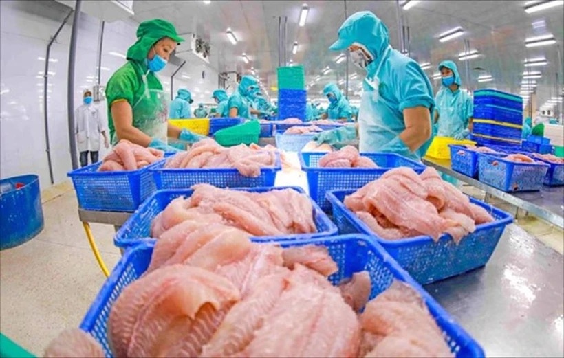 Thuế mới của Mỹ: Ngành nông nghiệp tổ chức lại sản xuất, mở rộng thị trường