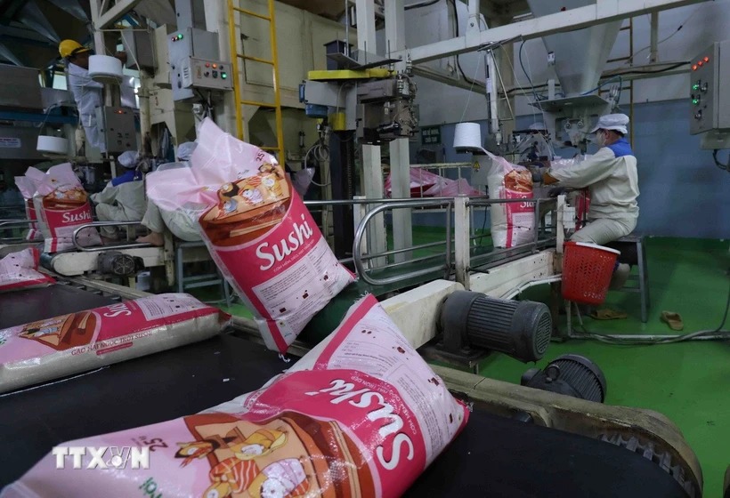Thị trường nông sản: Giá gạo xuất khẩu đã giảm gần 19%